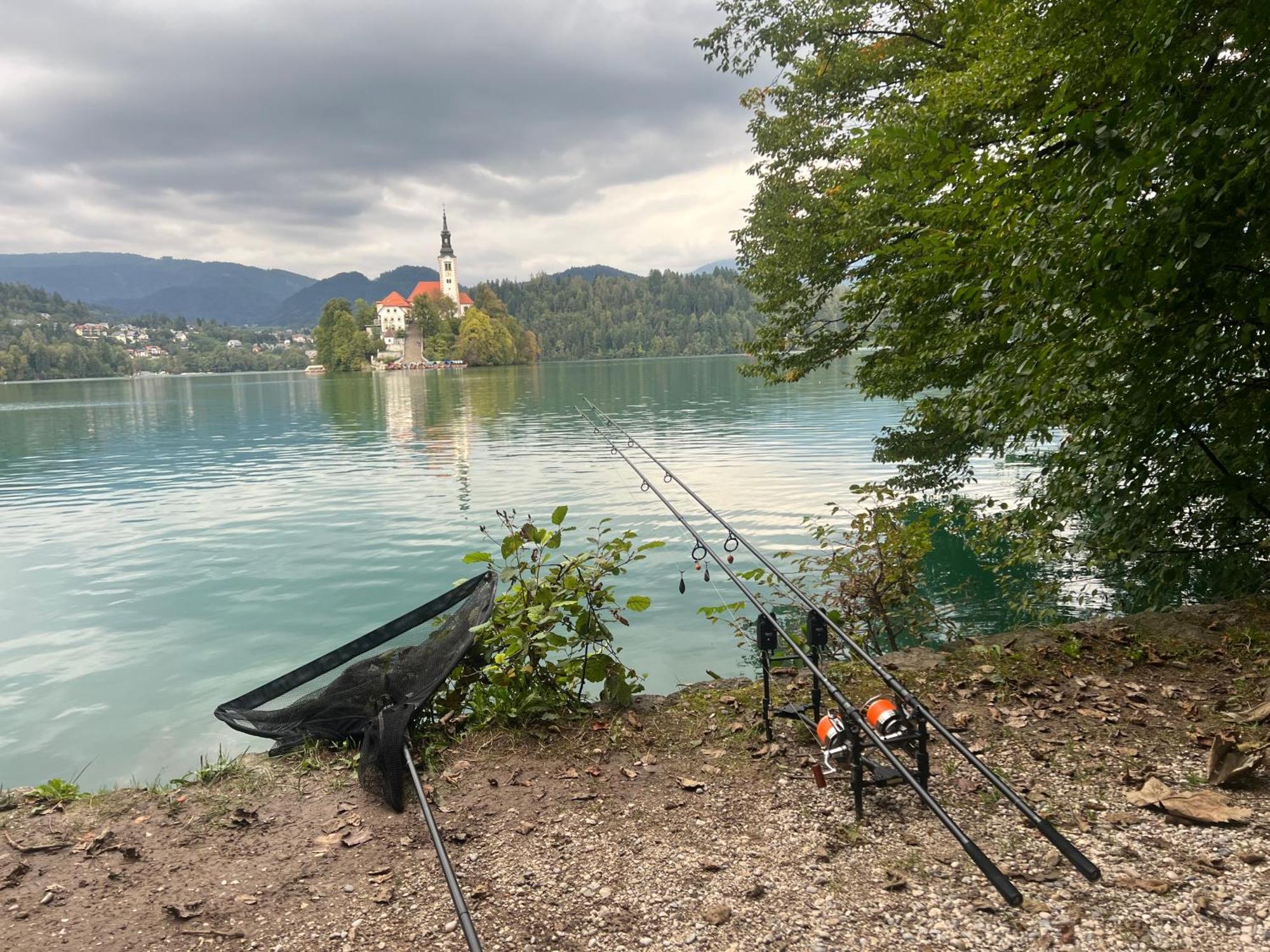 4 Elements Glamping & Apartments Bled Exterior foto