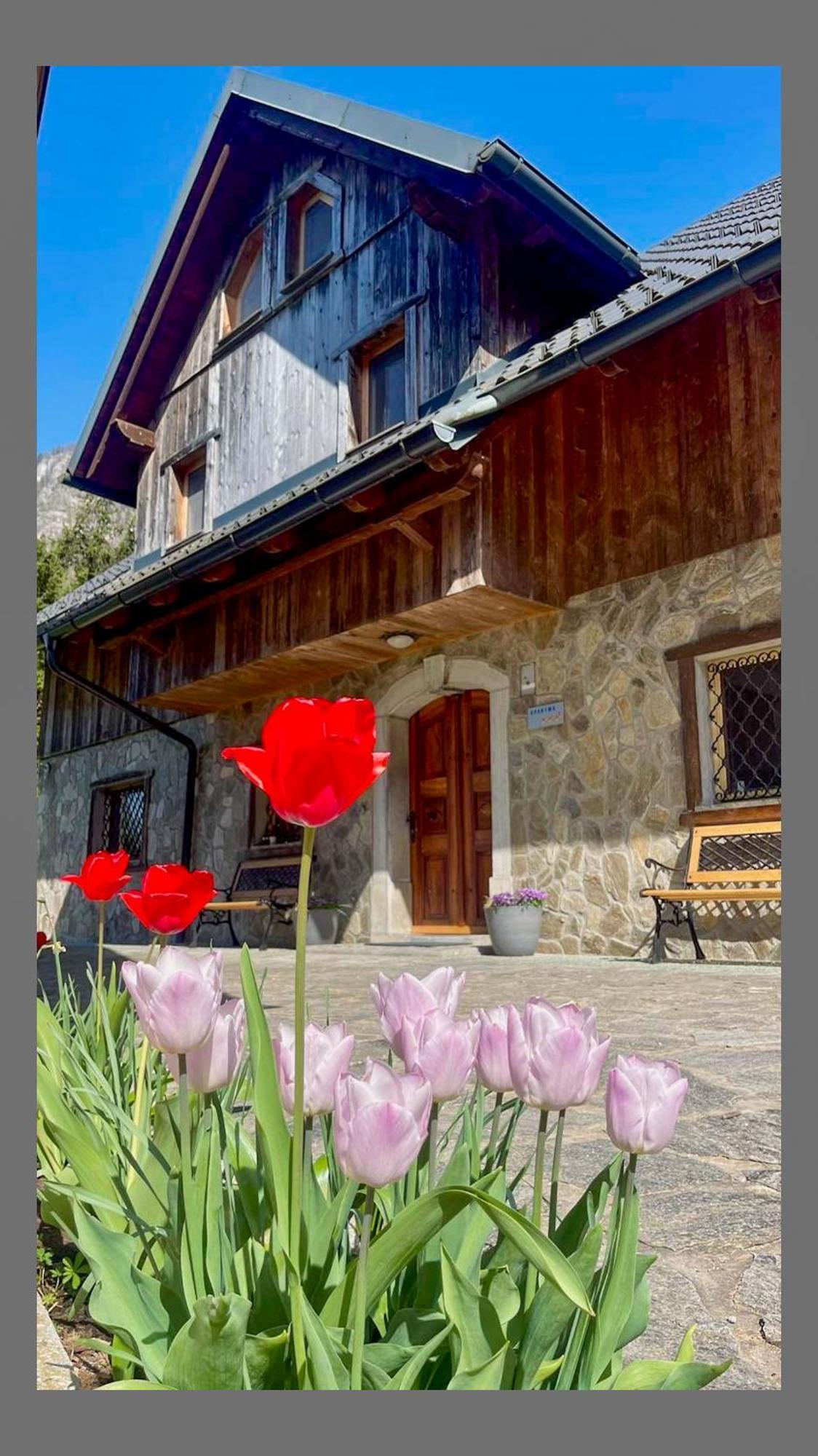 4 Elements Glamping & Apartments Bled Exterior foto