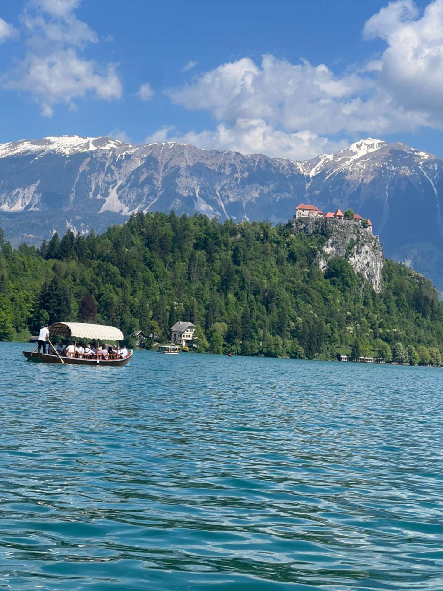4 Elements Glamping & Apartments Bled Exterior foto